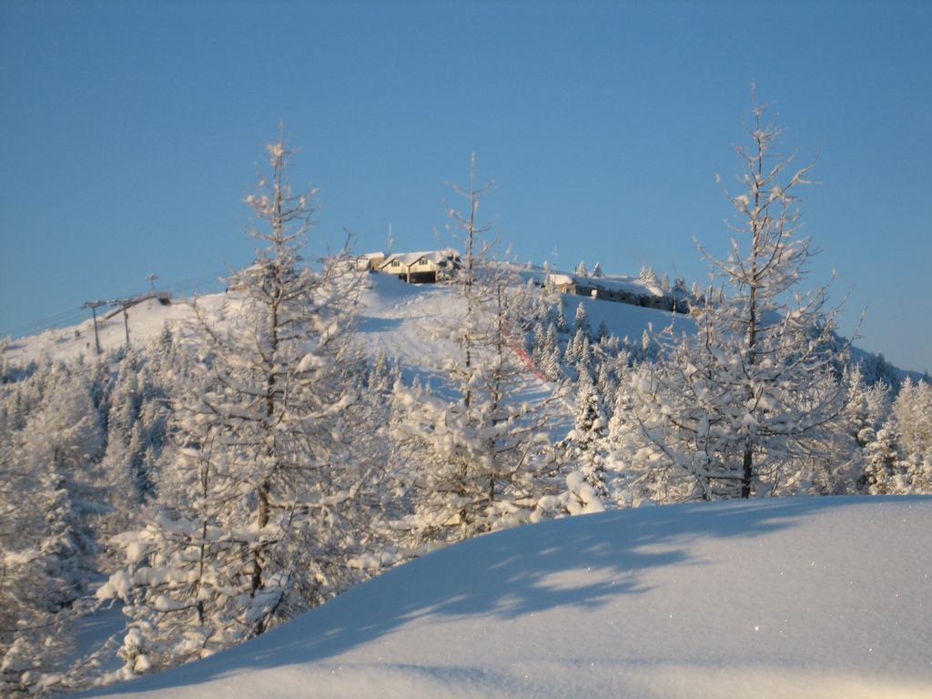 Rifugio Verenetta Casere Verena Exterior foto